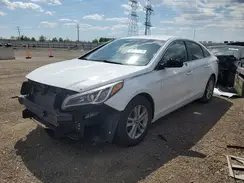 5NPE24AF9HH441215 2017 HYUNDAI SONATA