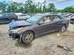 5NPE24AF9HH441229 2017 HYUNDAI SONATA