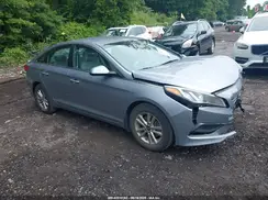 5NPE24AF9HH443515 2017 HYUNDAI SONATA