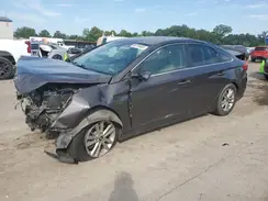 5NPE24AF9HH443630 2017 HYUNDAI SONATA