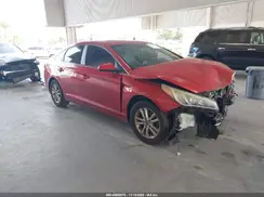 5NPE24AF9HH445202 2017 HYUNDAI SONATA