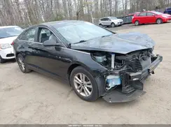 5NPE24AF9HH451114 2017 HYUNDAI SONATA