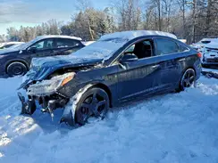 5NPE24AF9HH459469 2017 HYUNDAI SONATA
