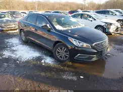 5NPE24AF9HH465773 2017 HYUNDAI SONATA