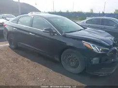 5NPE24AF9HH469337 2017 HYUNDAI SONATA