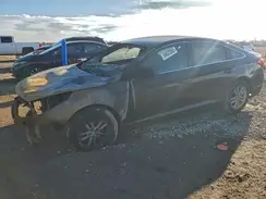 5NPE24AF9HH482265 2017 HYUNDAI SONATA
