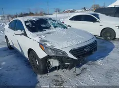 5NPE24AF9HH482802 2017 HYUNDAI SONATA