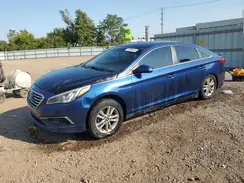 5NPE24AF9HH493086 2017 HYUNDAI SONATA