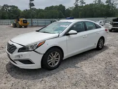 5NPE24AF9HH505768 2017 HYUNDAI SONATA