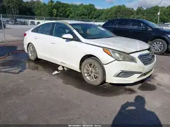 5NPE24AF9HH507083 2017 HYUNDAI SONATA