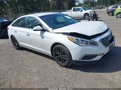 5NPE24AF9HH515295 2017 HYUNDAI SONATA