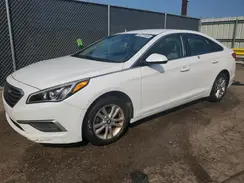 5NPE24AF9HH516141 2017 HYUNDAI SONATA
