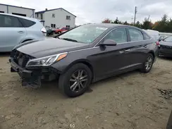 5NPE24AF9HH517628 2017 HYUNDAI SONATA