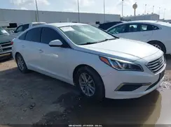 5NPE24AF9HH519959 2017 HYUNDAI SONATA
