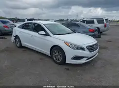 5NPE24AF9HH521338 2017 HYUNDAI SONATA