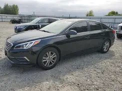 5NPE24AF9HH523056 2017 HYUNDAI SONATA