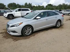 5NPE24AF9HH523560 2017 HYUNDAI SONATA