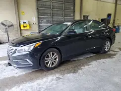 5NPE24AF9HH526765 2017 HYUNDAI SONATA