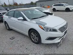 5NPE24AF9HH527172 2017 HYUNDAI SONATA
