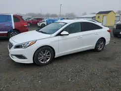 5NPE24AF9HH531884 2017 HYUNDAI SONATA