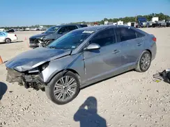 5NPE24AF9HH534221 2017 HYUNDAI SONATA