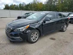 5NPE24AF9HH537409 2017 HYUNDAI SONATA