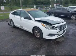 5NPE24AF9HH558471 2017 HYUNDAI SONATA