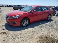 5NPE24AF9HH560771 2017 HYUNDAI SONATA
