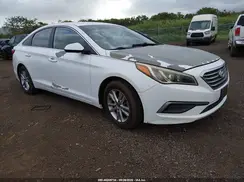 5NPE24AF9HH561631 2017 HYUNDAI SONATA
