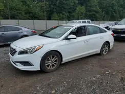5NPE24AF9HH563332 2017 HYUNDAI SONATA