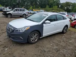5NPE24AF9HH564187 2017 HYUNDAI SONATA