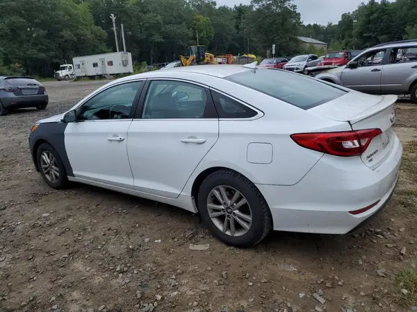 5NPE24AF9HH564187 2017 HYUNDAI SONATA - Image 2