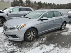 5NPE24AF9HH566408 2017 HYUNDAI SONATA