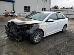 5NPE24AF9JH668927 2018 HYUNDAI SONATA