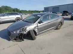 5NPE24AF9KH732403 2019 HYUNDAI SONATA