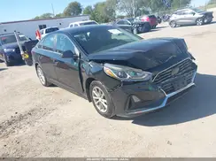 5NPE24AF9KH737035 2019 HYUNDAI SONATA