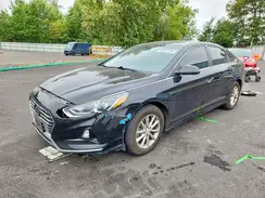 5NPE24AF9KH737407 2019 HYUNDAI SONATA