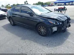 5NPE24AF9KH738296 2019 HYUNDAI SONATA