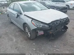 5NPE24AF9KH742039 2019 HYUNDAI SONATA