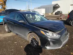 5NPE24AF9KH742347 2019 HYUNDAI SONATA