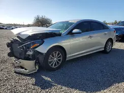 5NPE24AF9KH743417 2019 HYUNDAI SONATA
