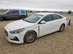 5NPE24AF9KH745667 2019 HYUNDAI SONATA