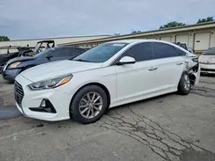 5NPE24AF9KH746592 2019 HYUNDAI SONATA