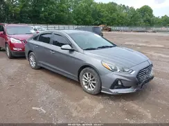 5NPE24AF9KH747080 2019 HYUNDAI SONATA