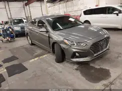 5NPE24AF9KH749427 2019 HYUNDAI SONATA