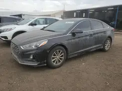 5NPE24AF9KH753848 2019 HYUNDAI SONATA