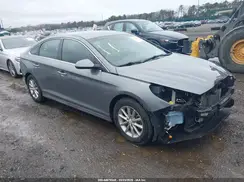 5NPE24AF9KH756300 2019 HYUNDAI SONATA