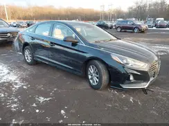 5NPE24AF9KH757110 2019 HYUNDAI SONATA