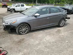 5NPE24AF9KH759830 2019 HYUNDAI SONATA