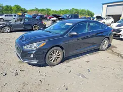 5NPE24AF9KH761562 2019 HYUNDAI SONATA